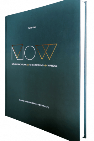 N.O.W. – Impulse zur Entwicklung und Entfaltung - Mein buch