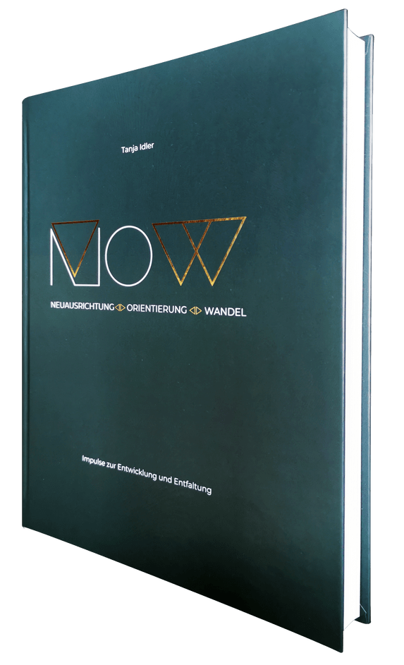 N.O.W. – Impulse zur Entwicklung und Entfaltung - Mein buch